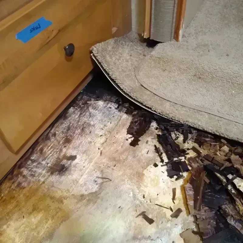 Best Wood Floor Water Damage Service in Blaine, TN